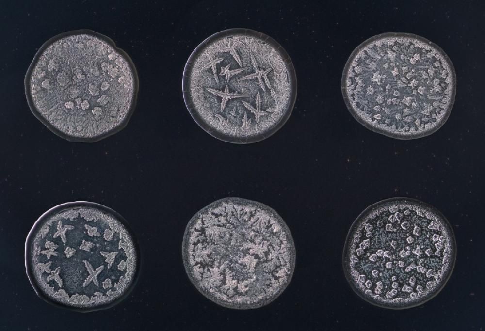 Hai mai visto una lacrima al microscopio?