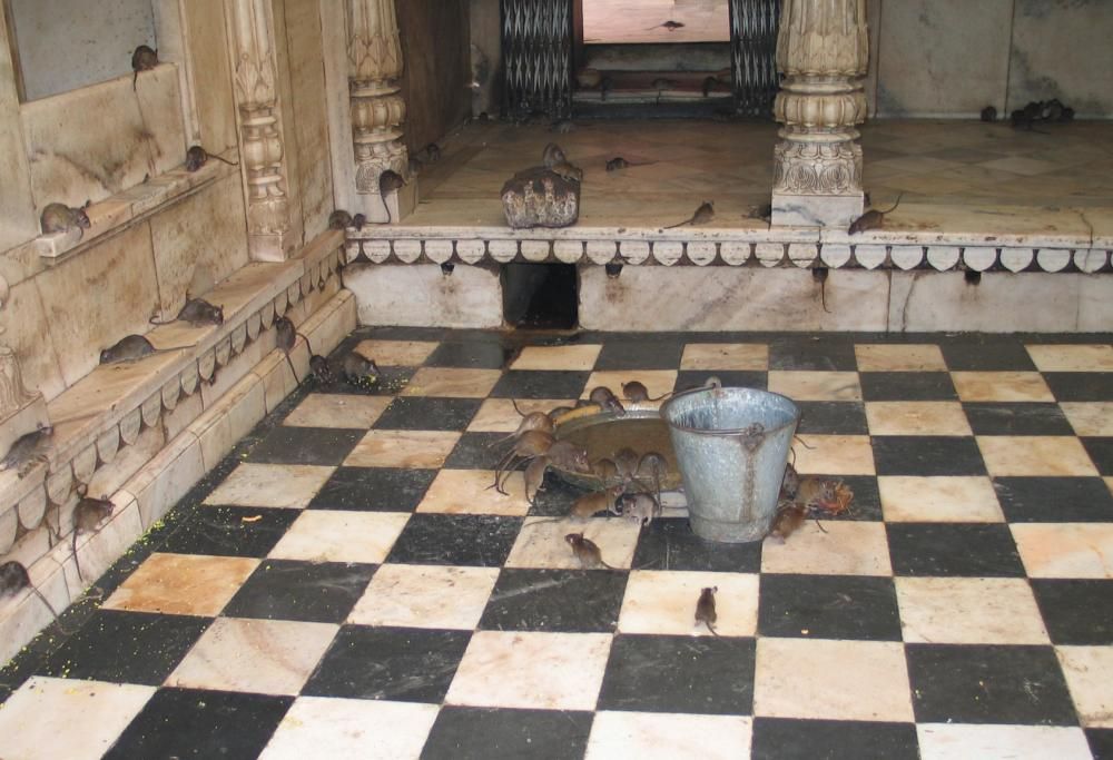 10 Attrazioni turistiche davvero assurde