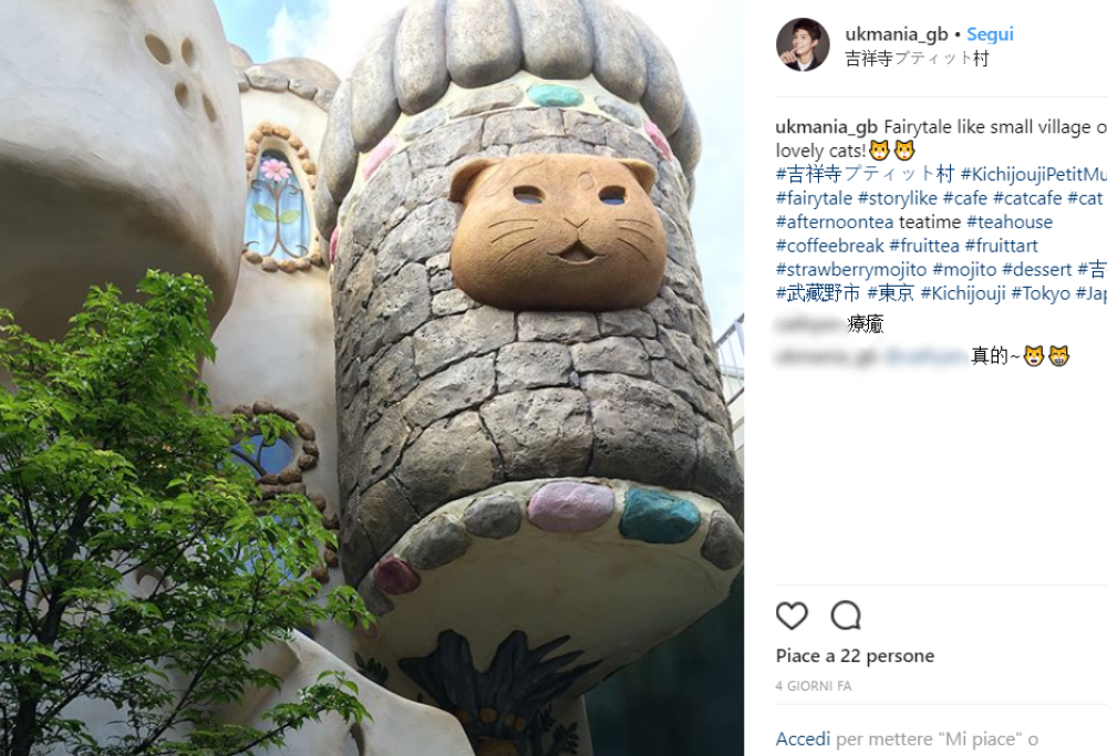 In Giappone è nato il primo villaggio solo per i gatti: curiosi di vederlo?