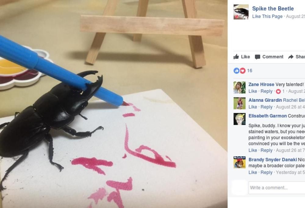 Spike, ecco lo scarabeo artista: le sue opere vendute anche a 130 dollari!