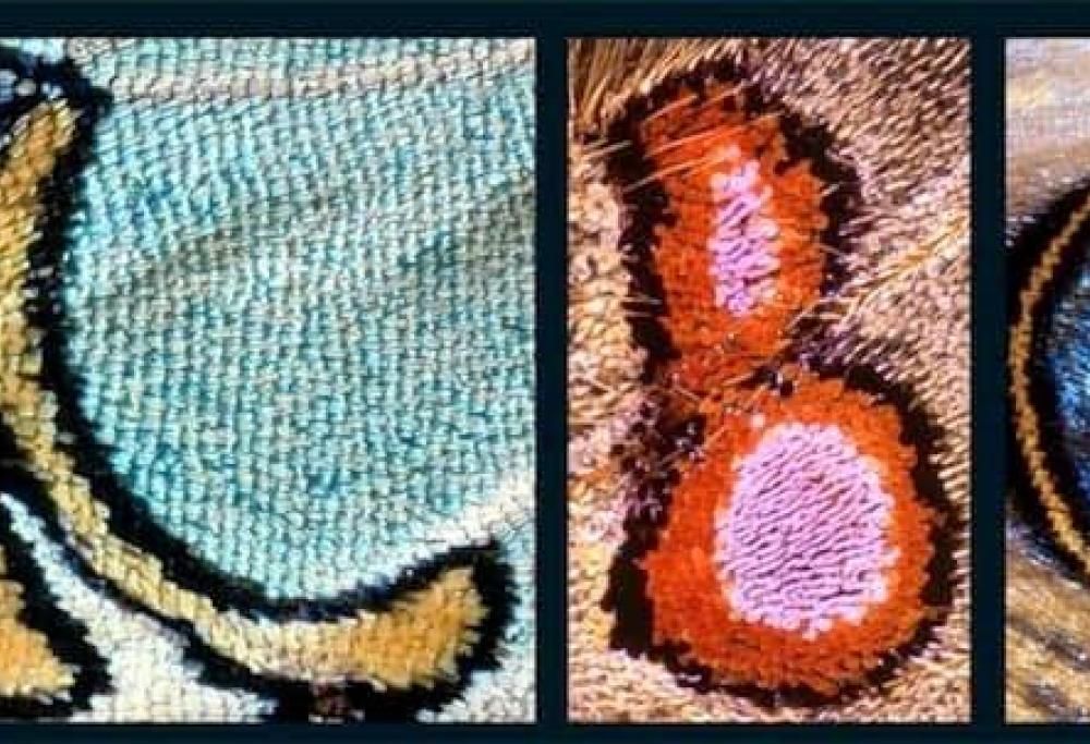 Kjell Bloch Sandved ha passato la sua vita a fotografare lettere sulle ali di farfalle