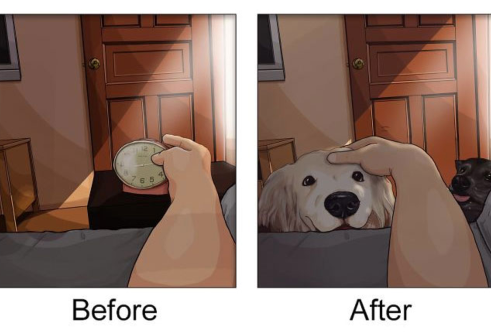 10 immagini che mostrano come cambia la vita con un amico a quattro zampe