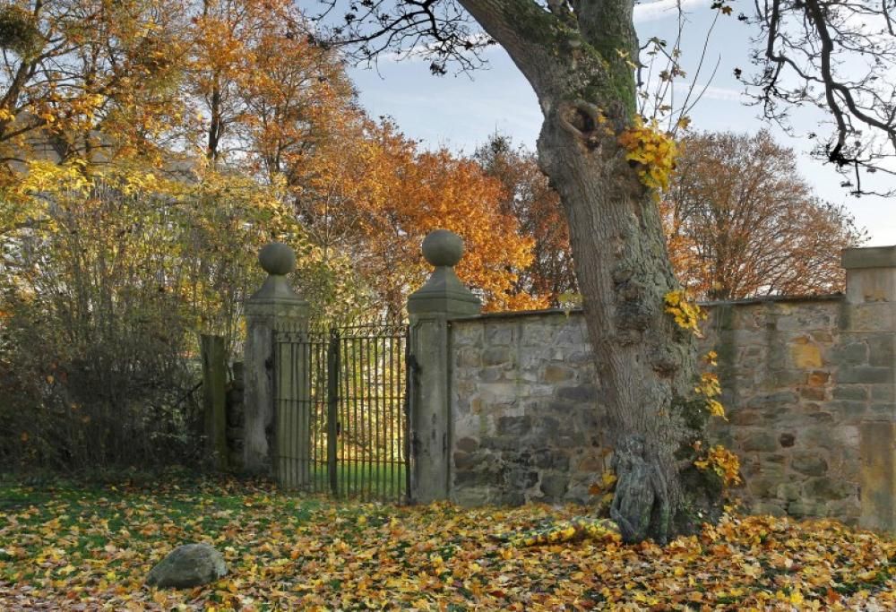 In questa foto è ritratta una donna nuda, riuscite a vederla?