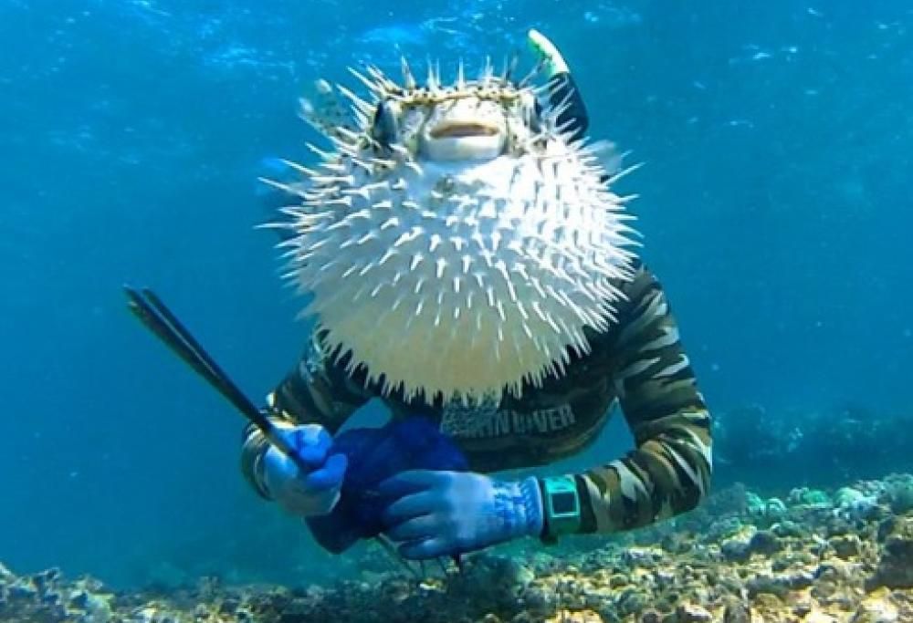 Photobombing: quando la foto è rovinata da un “estraneo”