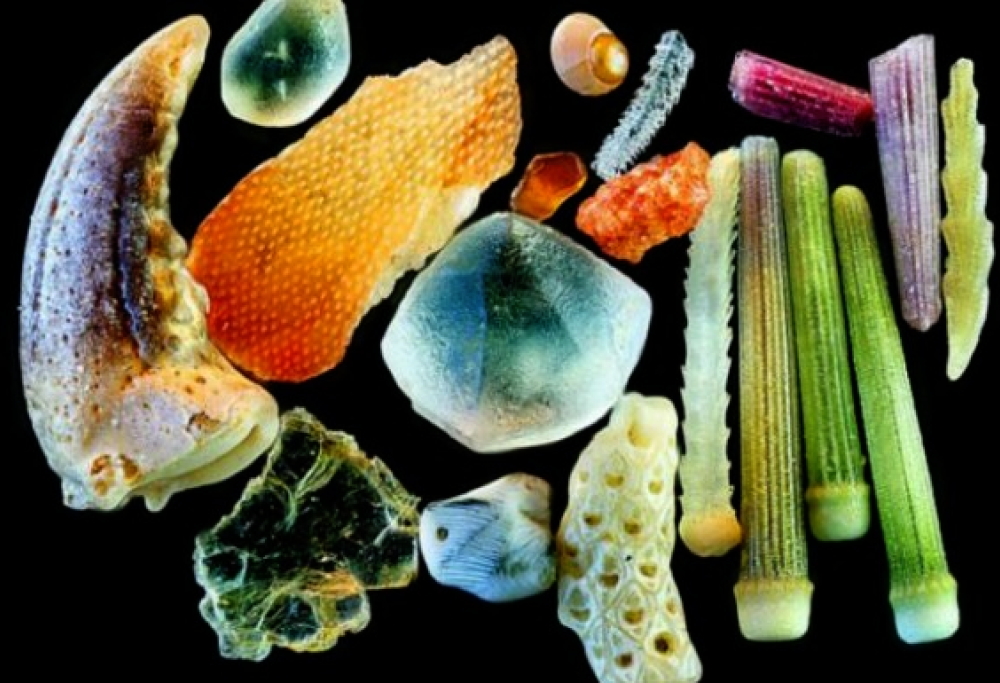 Queste immagini (incredibili) sono granelli di sabbia al microscopio