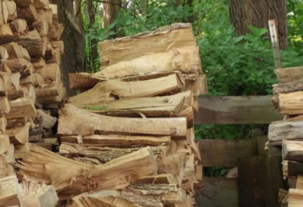 Riesci  a scovare il gatto nascosto?