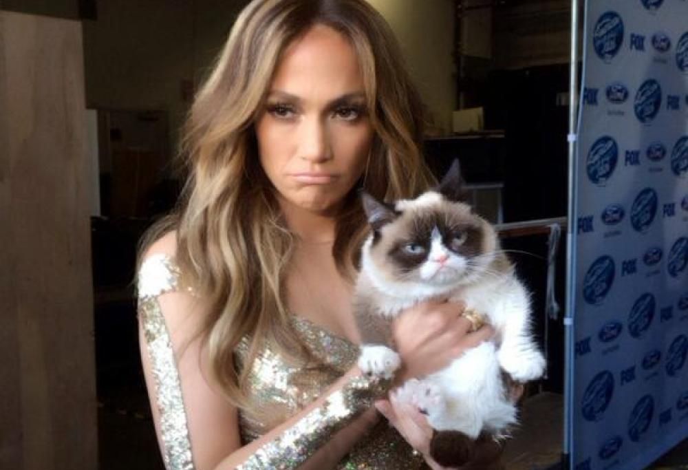 Le foto dei gatti Vip con i loro padroni famosi