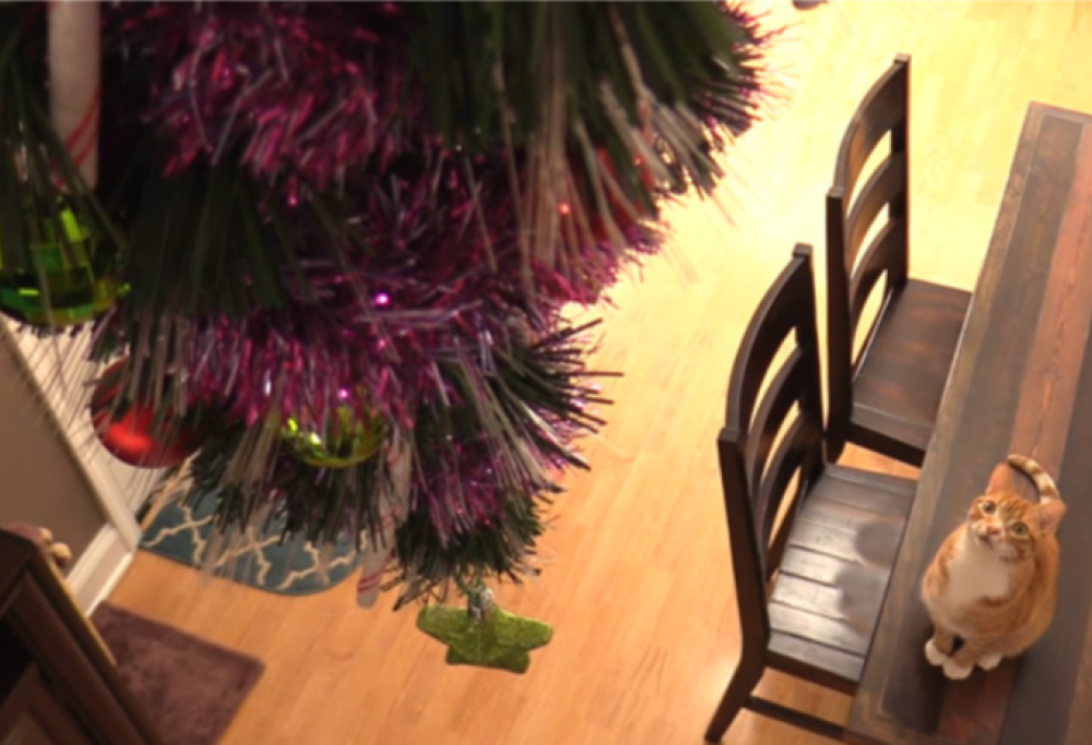 Come mettere al sicuro l’albero di Natale dal vostro animale domestico