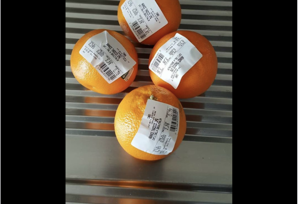 Scoppia la rivolta social per i sacchetti biodegradabili a pagamento