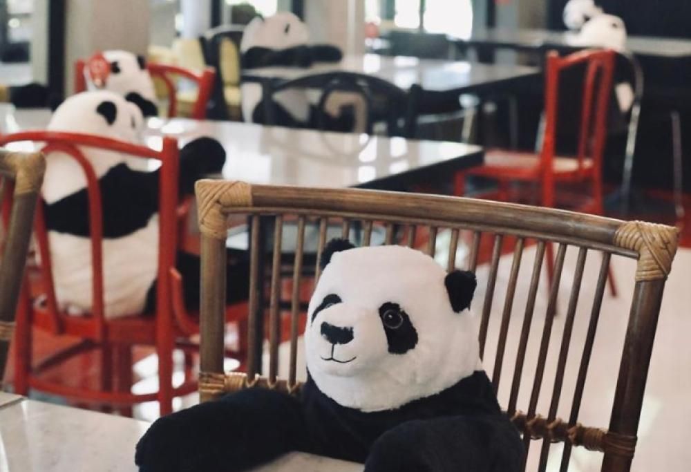 Ristorante thailandese usa peluche a forma di panda per far sentire meno soli i clienti