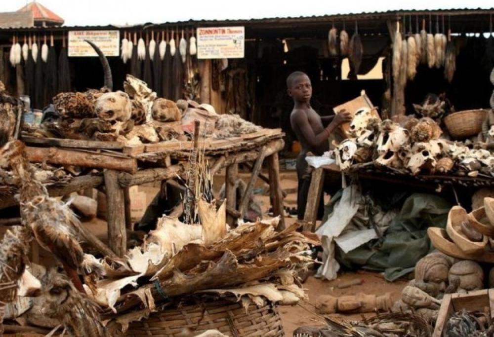 I 10 posti più infestati del mondo