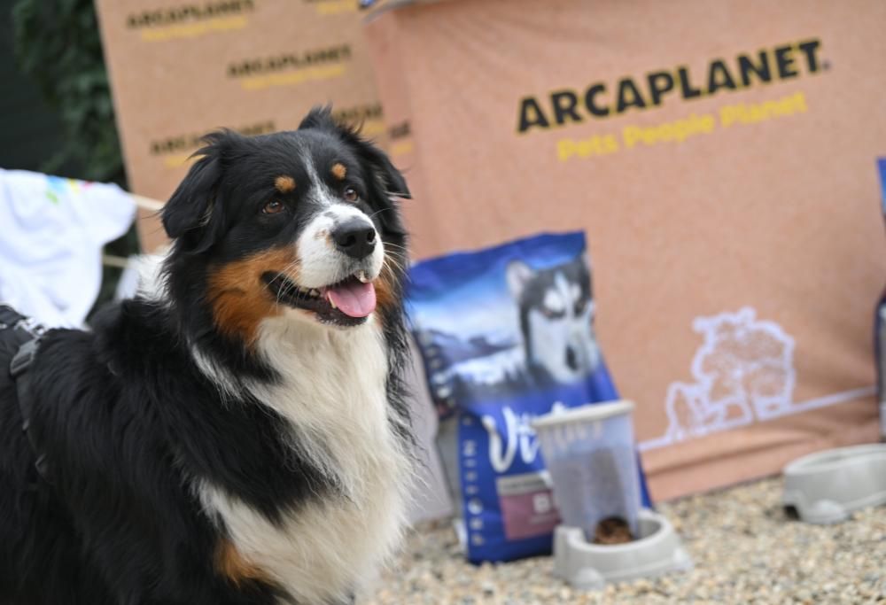 ARCAPLANET a Sanremo | la photogallery