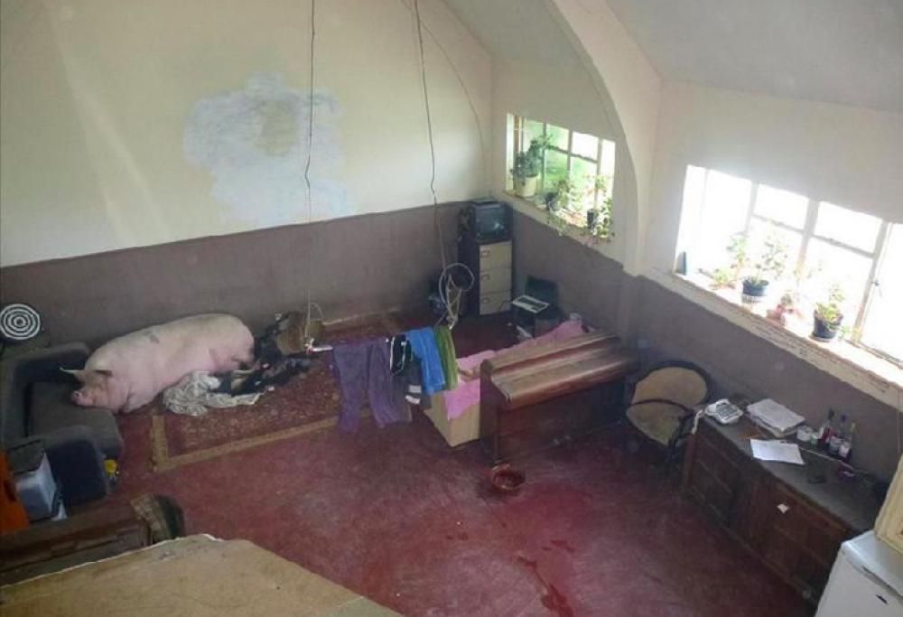 Annunci immobiliari… da incubo!