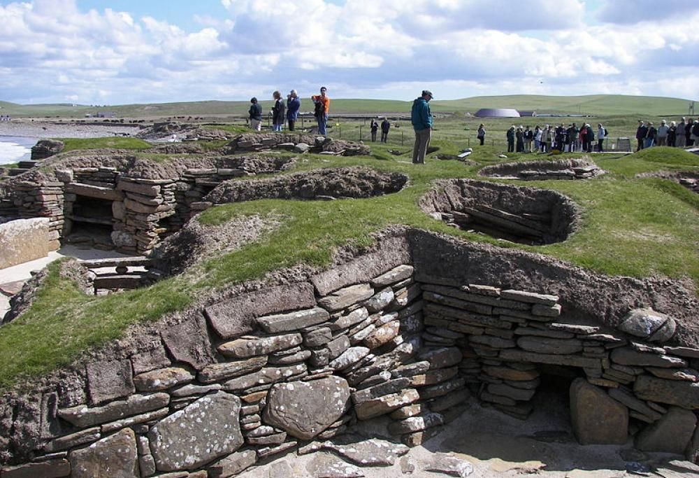 La sorprendente scoperta di un contadino nel suo campo