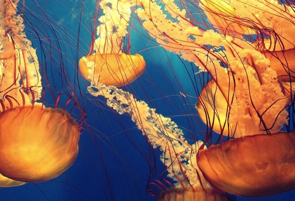 10 scoperte scientifiche che rivoluzioneranno la tua visione del mondo