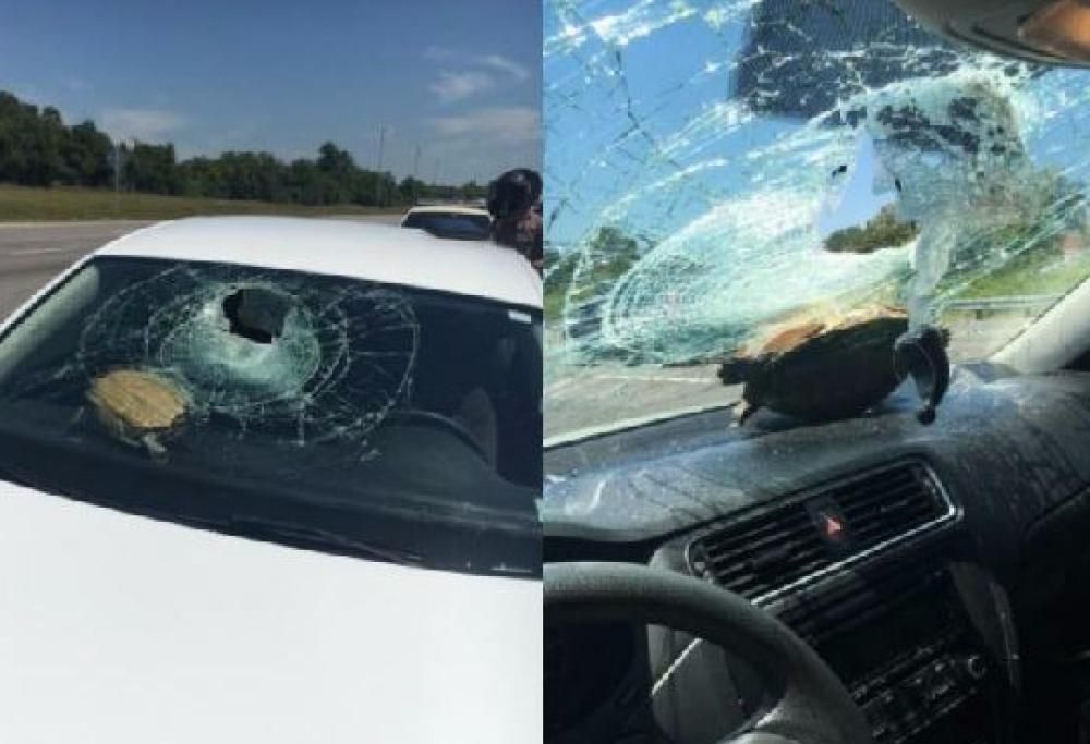 9 oggetti assurdi caduti misteriosamente dal cielo