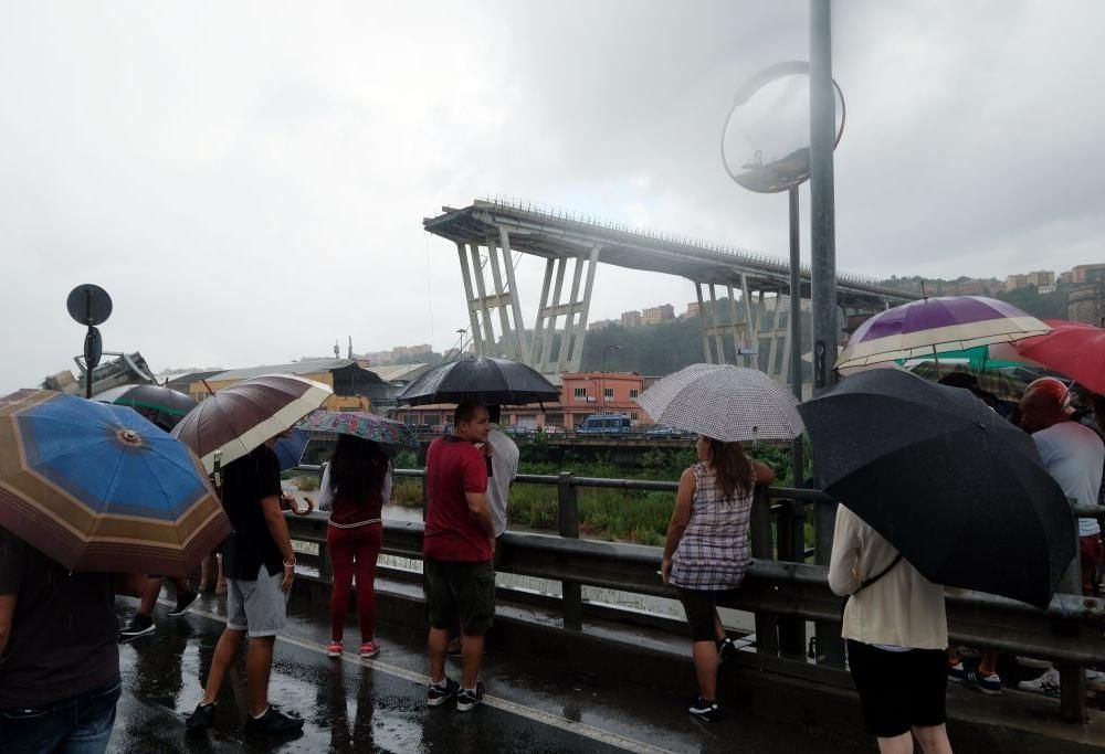 Genova, 10 bufale sul crollo del ponte Morandi