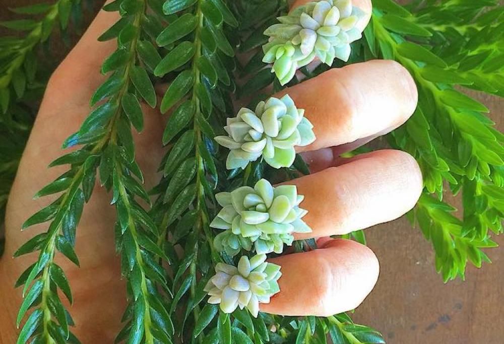La nuova frontiera della nail-art: giardini colorati al posto delle unghie