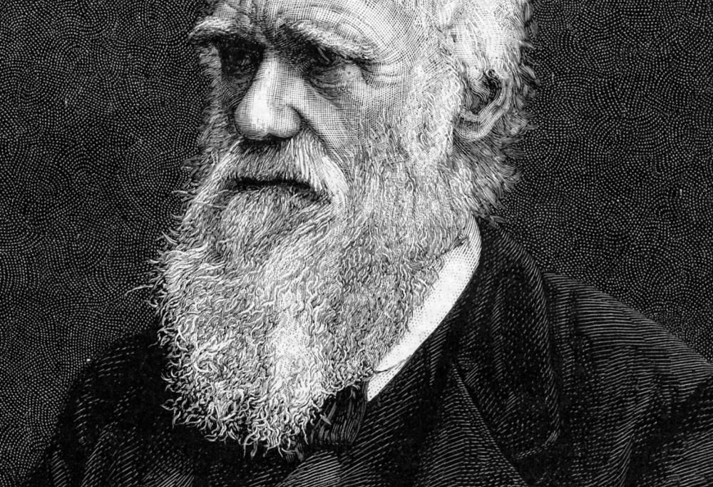 Ecco le 10 cose che non sapevi sull’evoluzione