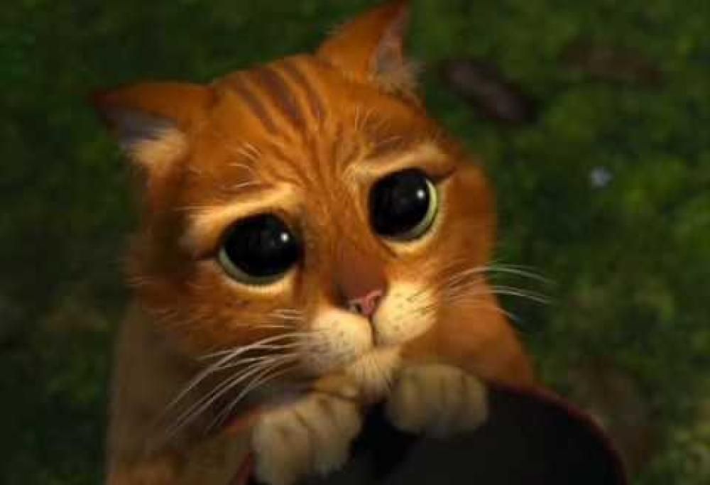 Ecco 10 foto che ci illustrano cosa significa essere timidi