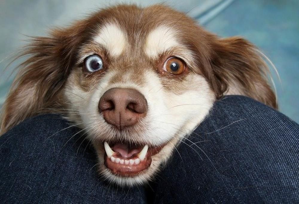 L’importanza di un buon allenamento