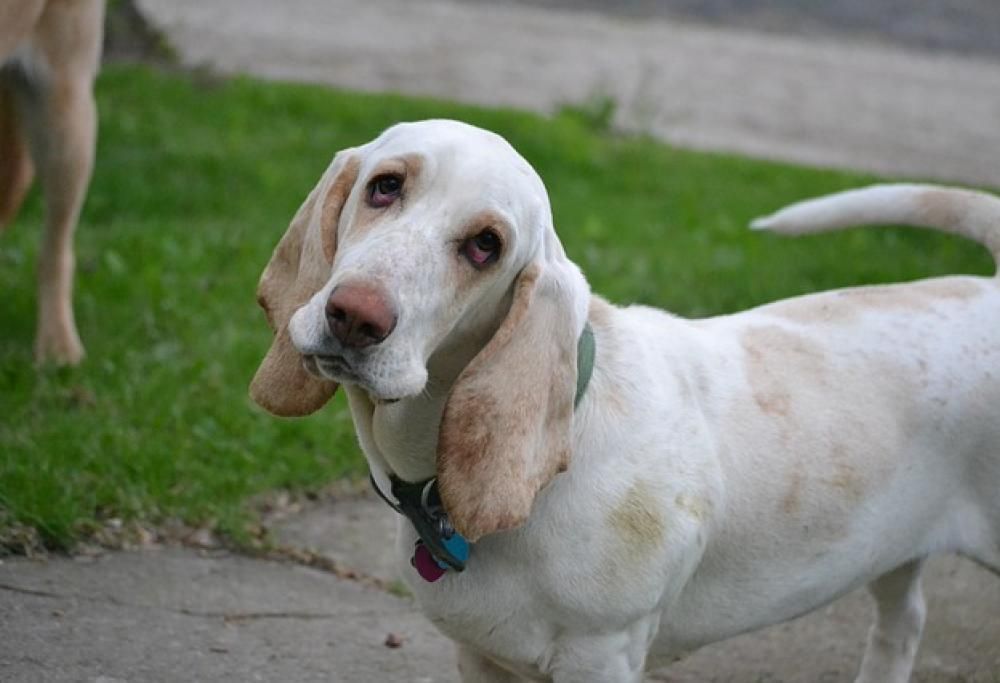 Attenzione a questi “colpi di testa”!