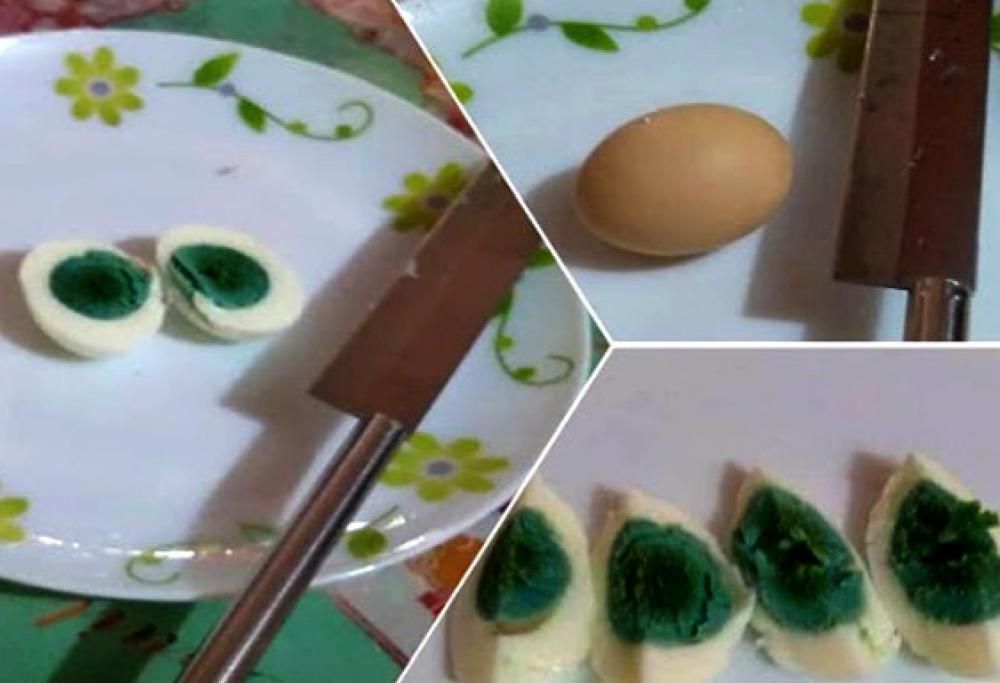 Il mistero delle galline che depongono uova dal tuorlo verde