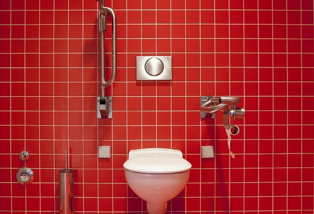 Smart Toilet, il wc che analizza la cacca