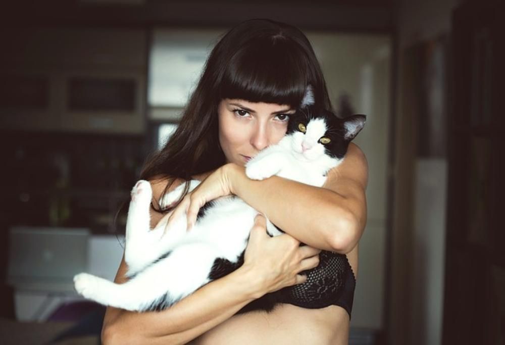 Il gatto si sceglie il suo umano!