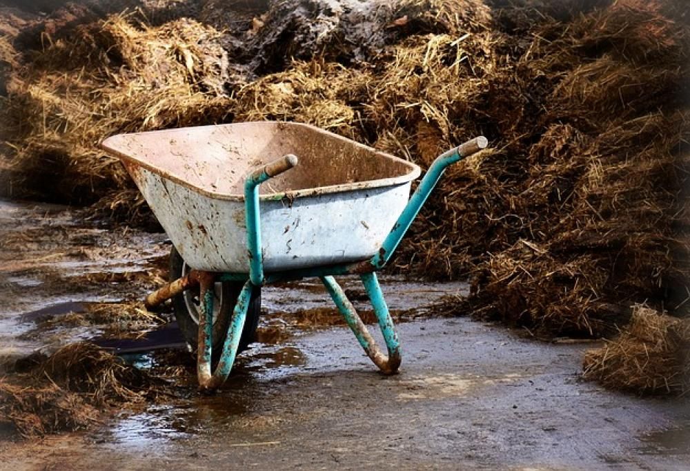 Il letame? L’oro del futuro!
