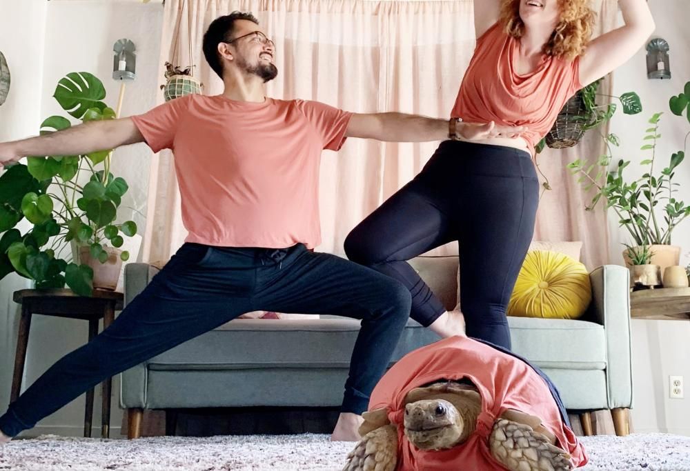 La strana coppia che coordina i loro abiti con la loro tartaruga