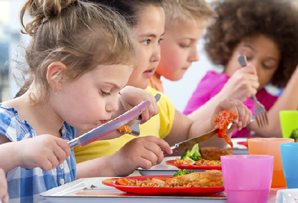 “No” al panino da casa nella mensa scolastica: lo stabilisce la Cassazione