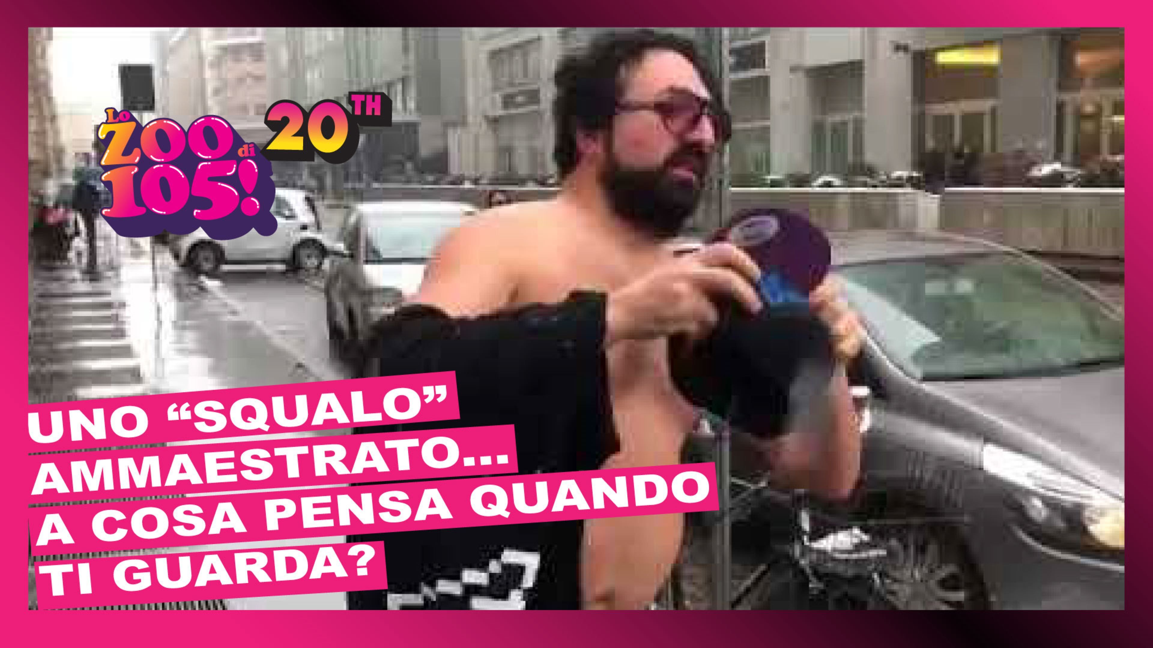 Uno “Squalo” ammaestrato: a cosa pensa quando ti guarda?