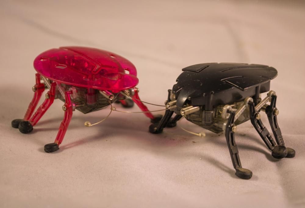 In arrivo gli scarafaggi robot per cercare i dispersi sotto le macerie