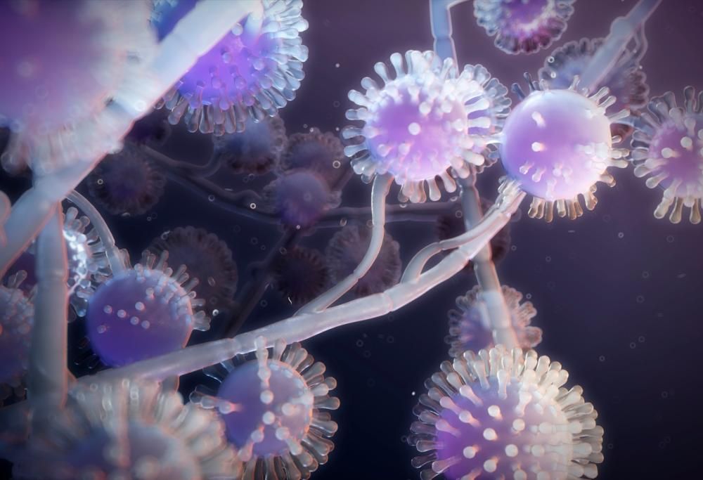 È in arrivo una nuova “malattia X”? L’OMS teme un’altra pandemia
