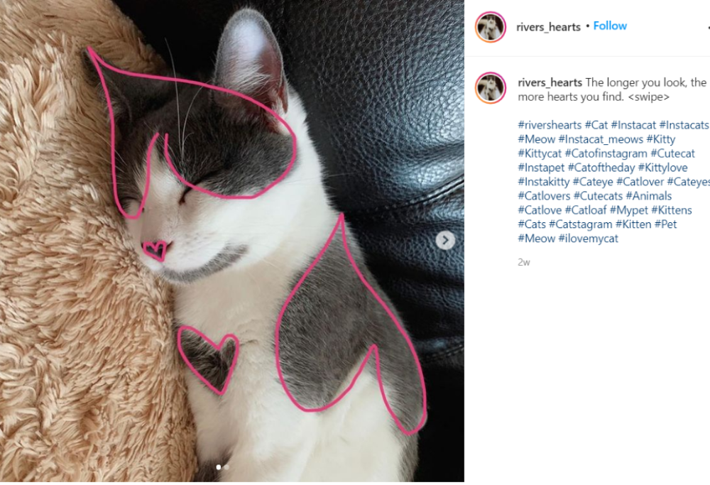 Celebriamo la giornata nazionale del gatto con River: il gatto con le macchie a cuoricino
