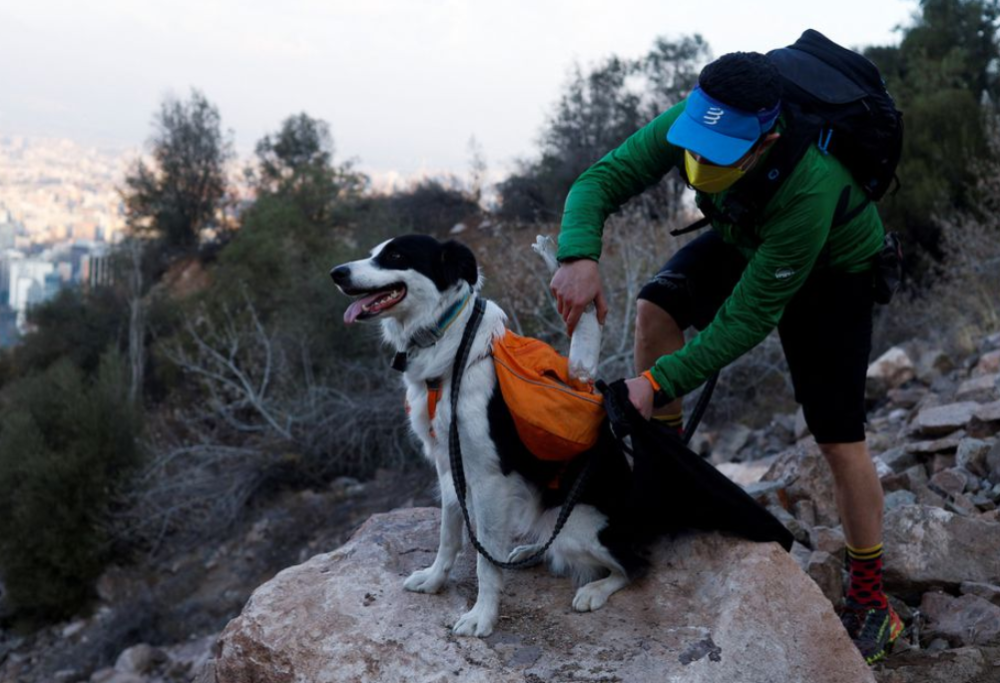Sam: il cane “eroe” che ripulisce la città insieme al padrone
