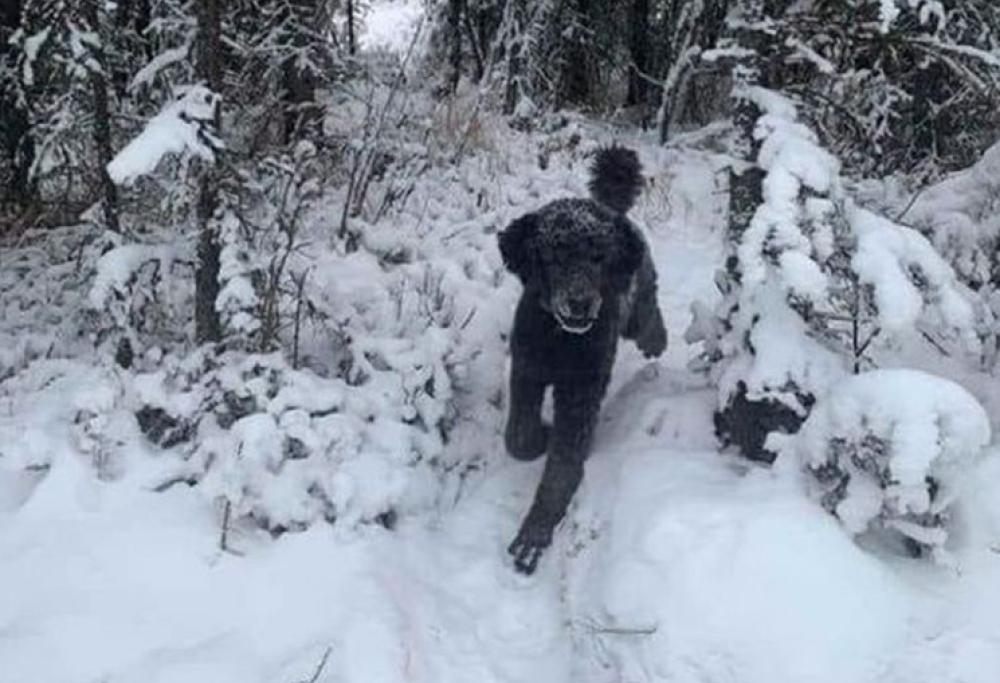 Virale dal web: cosa vedete esattamente in questa foto?