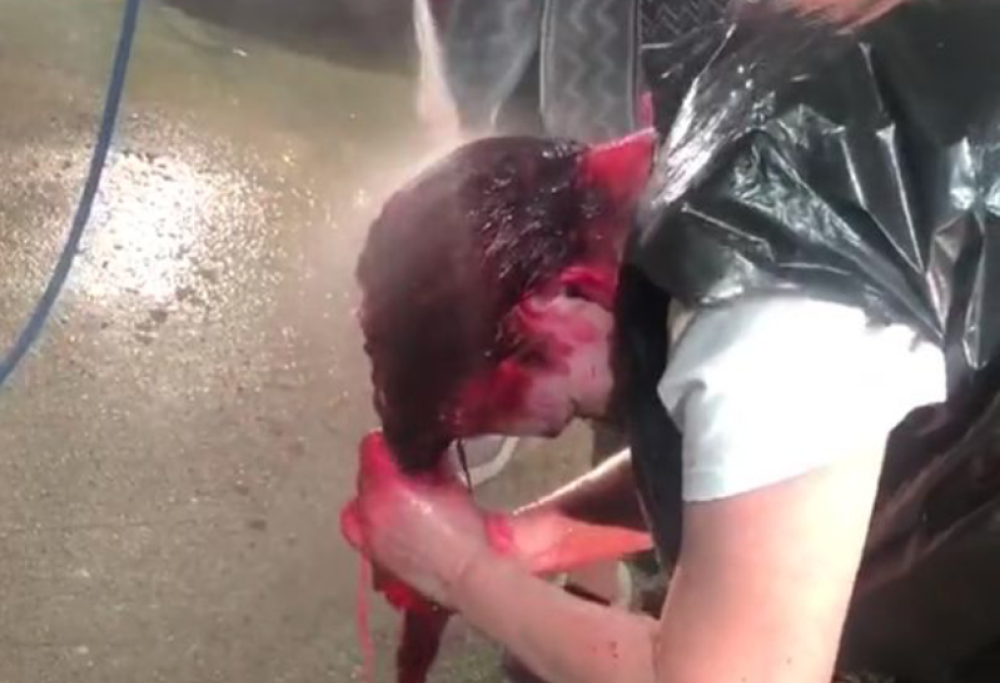 Si tinge i capelli in casa, ma poi deve correre all’autolavaggio per sciacquarli