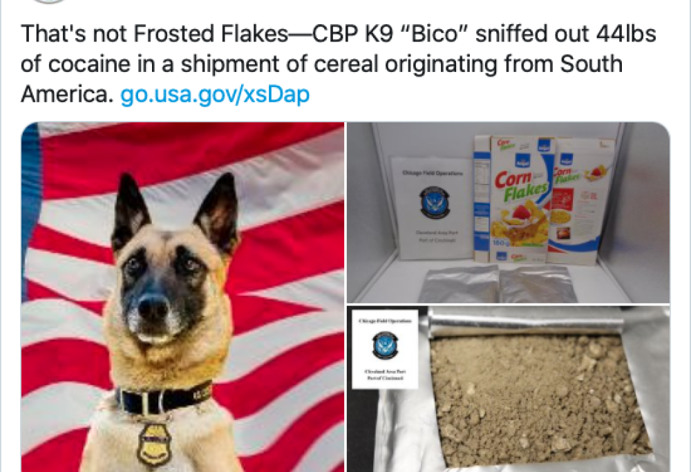 Sequestrati 20kg di cornflakes alla cocaina