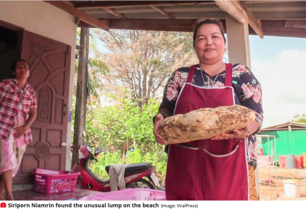 Donna trova vomito di balena del valore di 185mila sterline