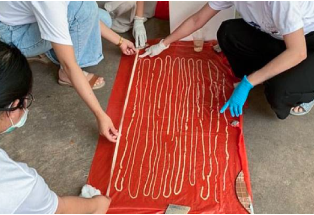 Una tenia di 18 metri fuoriesce dall’ano di un uomo