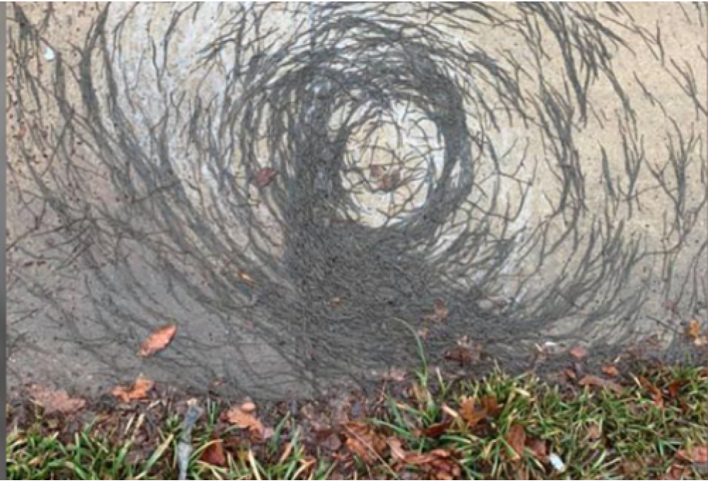 Misterioso vortice di vermi nel New Jersey