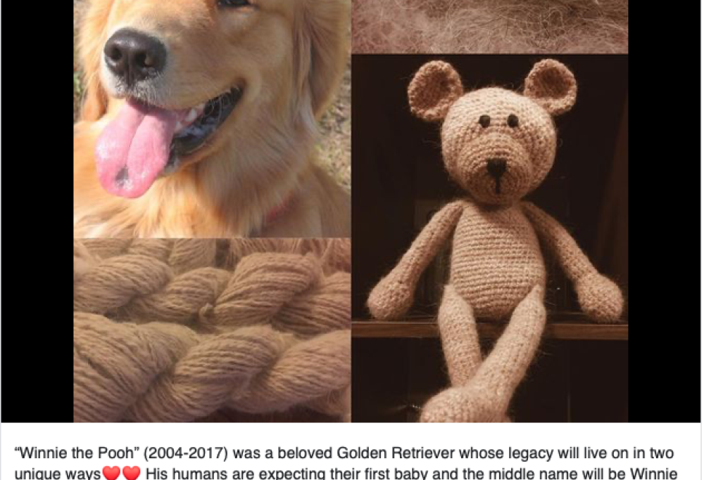 Lana fatta con peli di cane e gatto