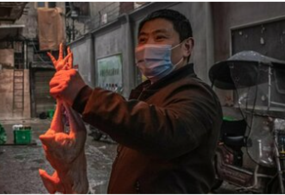 La Cina sapeva del pericolo Covid da 5 anni