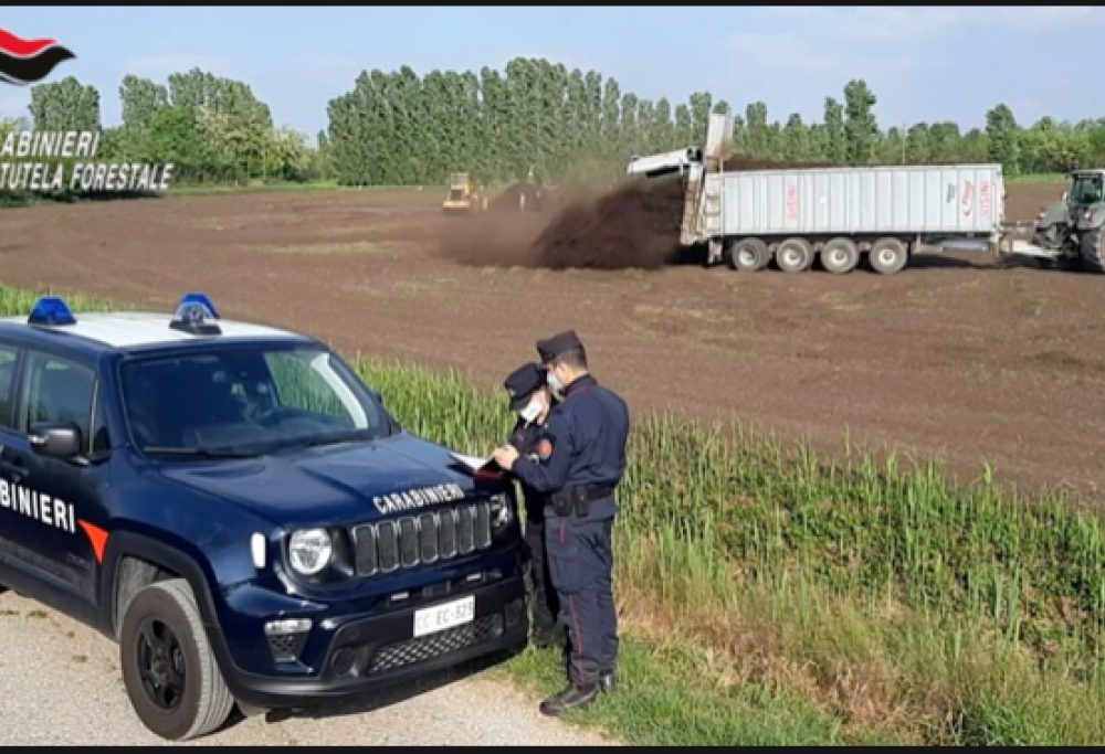 Fanghi tossici smaltiti come fertilizzanti