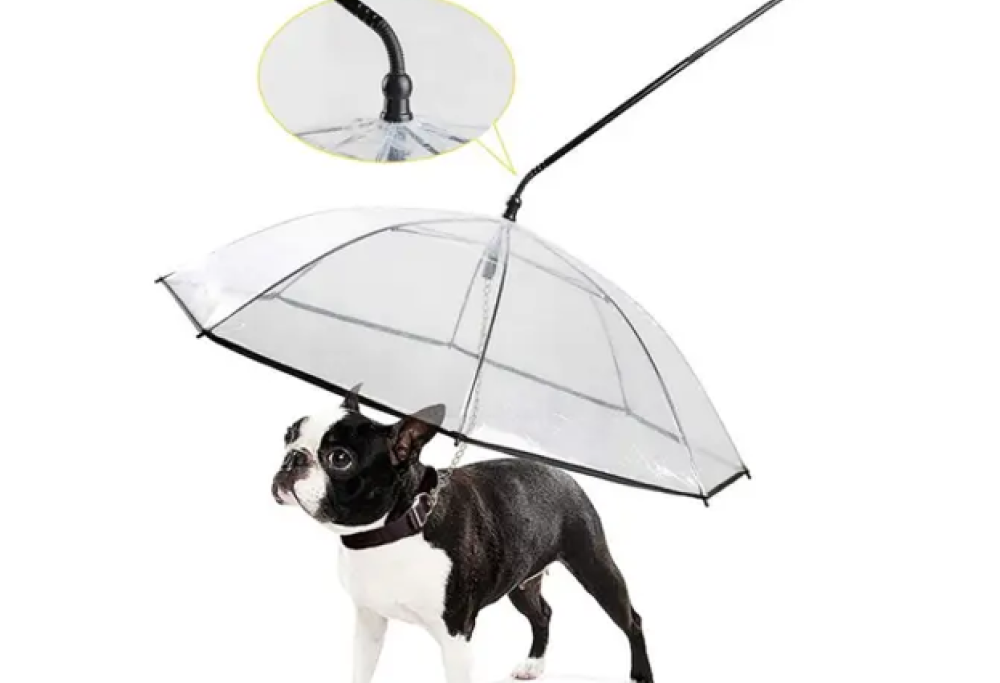Arriva il guinzaglio a ombrello
