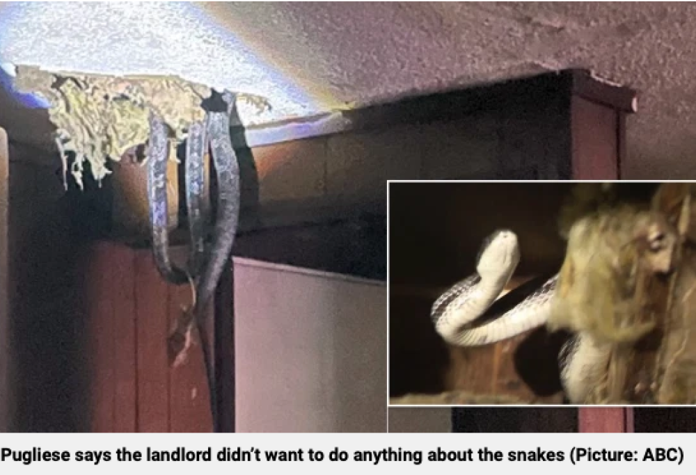 Casa degli orrori in Georgia