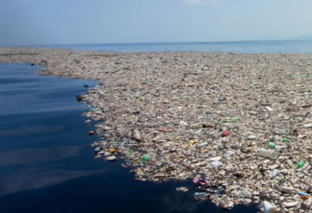 L’invasione degli spazzolini da denti