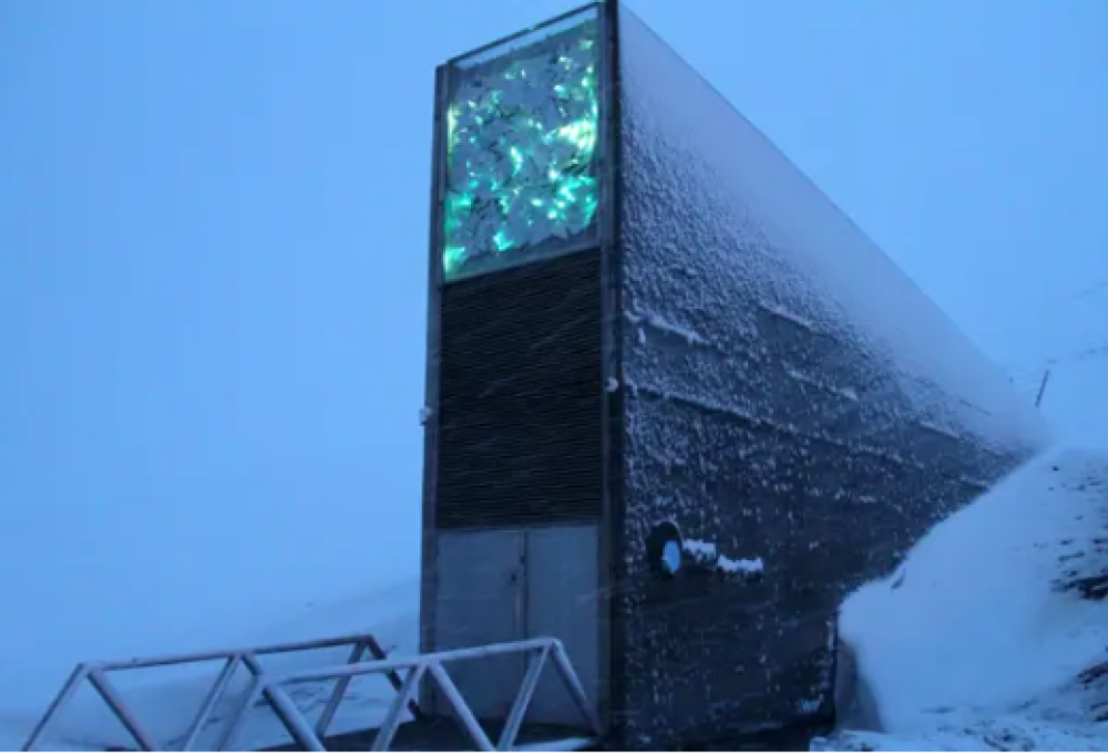 Il bunker che custodirà la musica del mondo